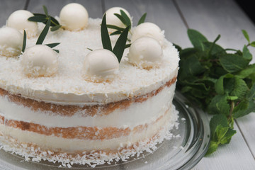 tasty coconut cake with cream vanilla balls