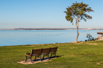 Bench and tree facing San Diego Bay at the Chula Vista Bayfront park, with Point Loma at the horizon line.   - obrazy, fototapety, plakaty