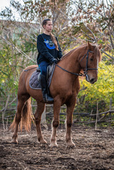 Fototapeta premium Young beautiful brunette girl rides a horse on a warm and sunny autumn day. Portrait of a pretty young woman on the horse, wearing tall boots and gloves.