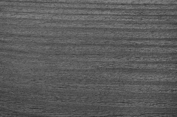 Wood texture. Lining boards wall. Wooden background pattern. Showing growth rings. Grey color