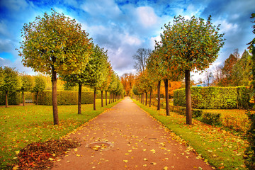 Fototapeta na wymiar Beautiful autumn park.