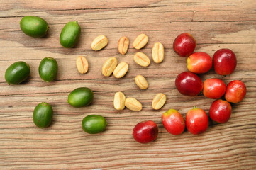 Fresh coffee bean on wooden background