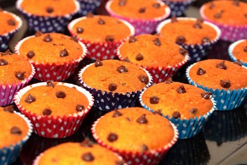 Mini chocolate chip muffins close up, selective focus