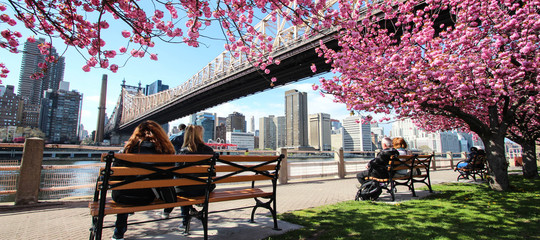 Obraz premium New York City / Roosevelt Island