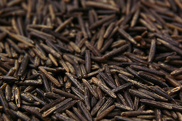 Black rice close-up background. Heap wild brown unpolished rice for vegetarians.