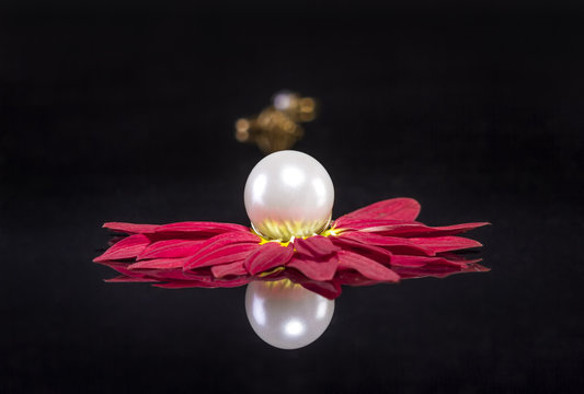 White pearls necklace over red petals on black