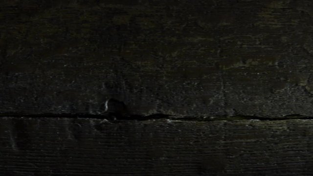 Dark wood background with beam of light from flashlight. Concept of search and illumination.