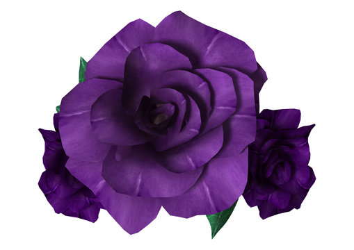 Fototapeta 3D Rendering Purple Roses on White