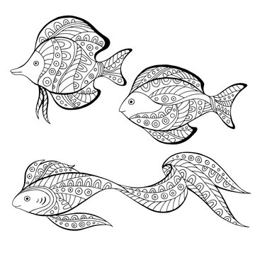 Fish abstract doodle pattern graphic art black white illustration vector