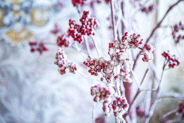 Дерево рябины с красными ягодами в снегу на фоне бело-синего узора на стене
