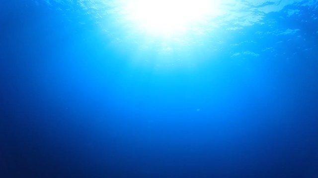 Underwater footage in ocean with sun