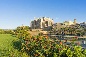 Fototapeta premium Exterior photo of the cathedral of palma de mallorca