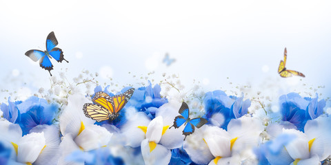 Fototapeta na wymiar Amazing butterfly fairy of flowers, hydrangeas and iris.