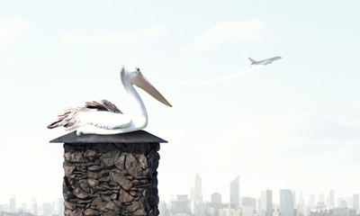 Stork bird on top . Mixed media