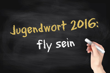 Jugendwort des Jahres 2016 - fly sein