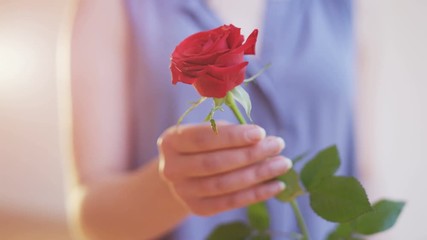Man Gives a Red Rose to a Woman