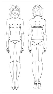 Female figure: front and back. Vector. Human body in linear style.