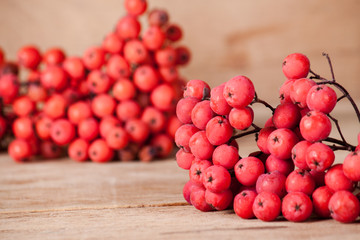Ripe red rowan on wood board