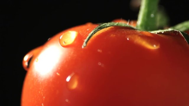 Tomato rotating with fresh water drops. Find similar clips in our portfolio.