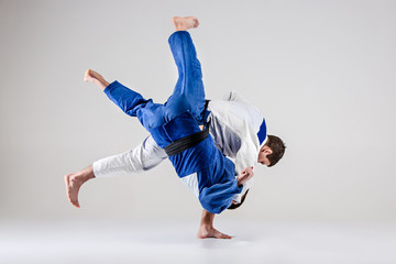 The two judokas fighters fighting men - obrazy, fototapety, plakaty