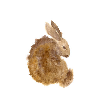 little brown rabbit