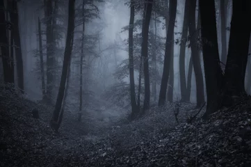 Gordijnen dark night in forest © andreiuc88