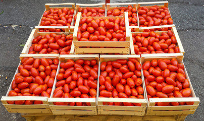 Fresh organic tomato inside wood crate / tomatoes in wooden basket / Boxes of bright red tomatoes ready for sale at a farmers market / Fresh and healthy red tomatoes in a wooden box.