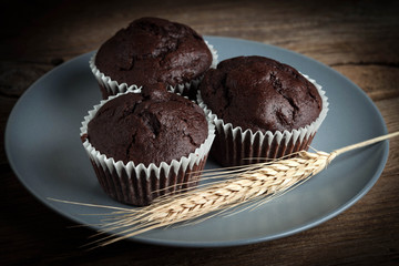 Chocolate muffin on dark background.