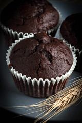 Chocolate muffin on dark background.