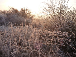 beautiful sunrise in a chilly november morning