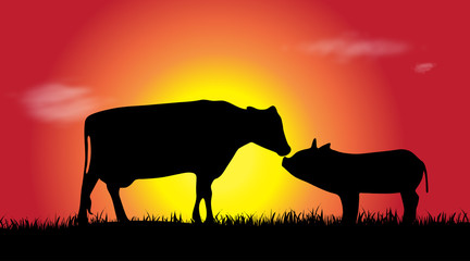 Vector silhouette of farm animal.