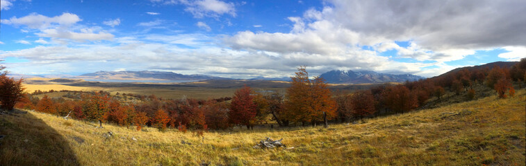 Fototapeta premium Torres del Paine National Park, Patagonia - Chile