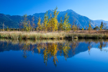 Fototapeta premium Herbstliche Spiegelung in der Moor und Filzlandschaft Kendlmühlfilz