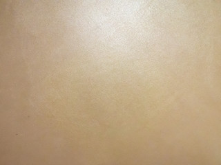 Brown leather texture