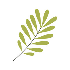 Green leaves Silhouette with ramifications vector illustration