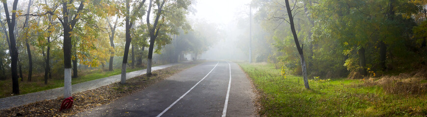 Fototapeta premium Autumn city park, alley, jogging and cycling tracks - panorama banner