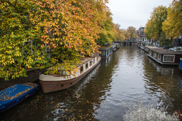 Fototapeta premium Beautiful canals in Amsterdam, the Netherlands