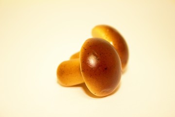 Butter mushrooms isolated on warm background