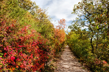 Fototapeta na wymiar bucolic walk in autumnal karst forest