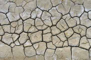 cracked ground.
