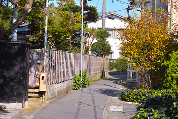 古都鎌倉の路地裏