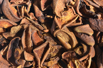 Dried apple slices