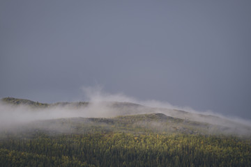 Mist evaporating from the swedish pine forest parts lit up by golden sunlight in moody landscape