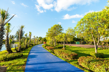 Fototapeta premium public park landscape