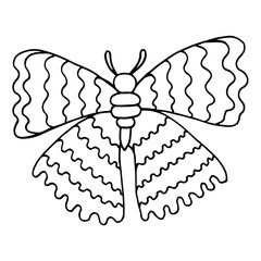 Black line butterfly for coloring book