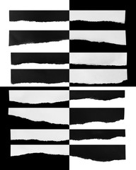 Piece of torn paper, space for copy