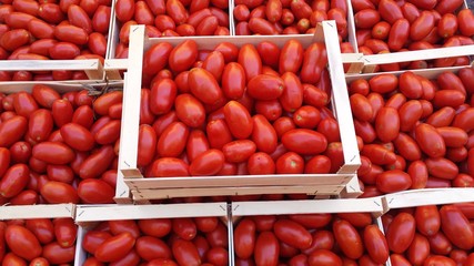 tomatoes in wooden basket / Boxes of bright red tomatoes ready for sale at a farmers market / Fresh and healthy red tomatoes in a wooden box / Boxes of tomatoes at street in the market   / top view