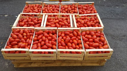 resh organic tomato inside wood crate / Fresh Tomatoes in crate at the shop / Fresh and healthy red tomatoes in a wooden box