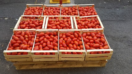 resh organic tomato inside wood crate / Fresh Tomatoes in crate at the shop / Fresh ripe red tomatoes are in the wood boxes / tomatoes in wooden basket .
