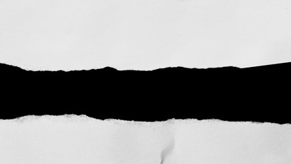 Piece of torn paper, space for copy